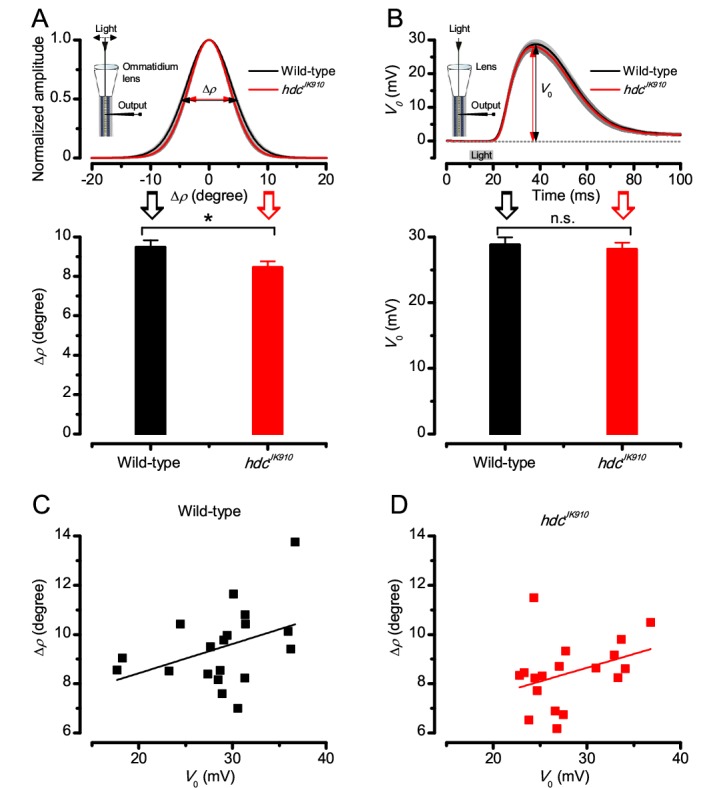 Figure 7—figure supplement 1.