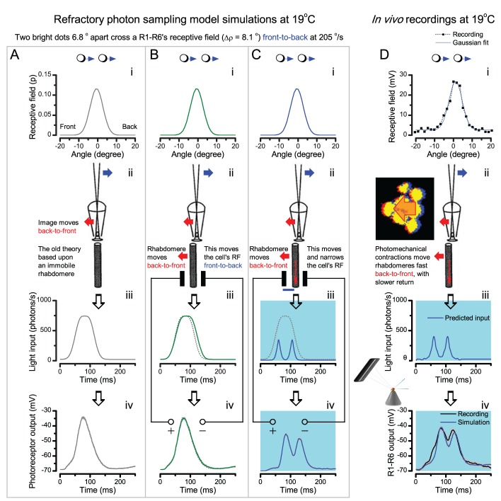 Appendix 8—figure 1.