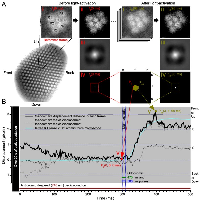 Appendix 7—figure 4.