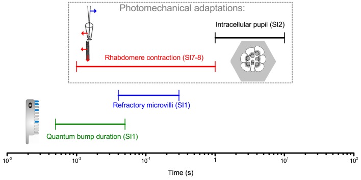 Appendix 2—figure 2.