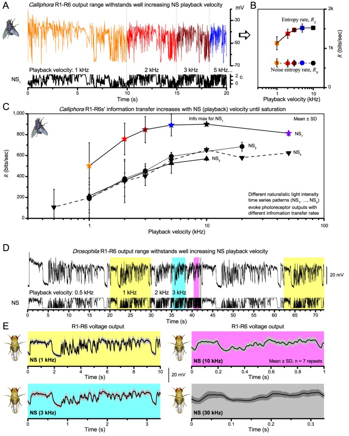 Appendix 3—figure 4.