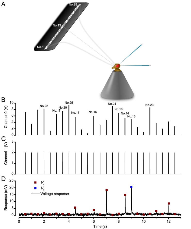 Appendix 4—figure 4.