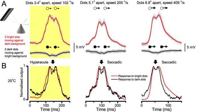 Appendix 9—figure 2.