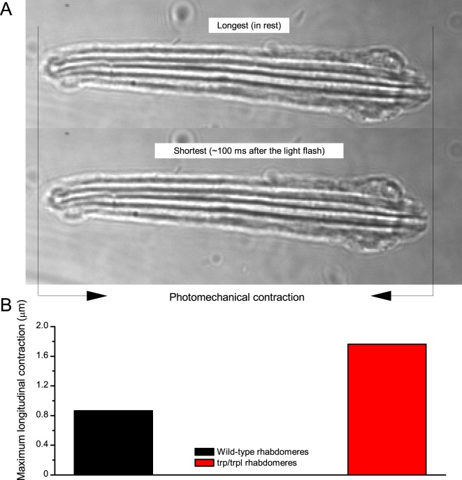 Appendix 7—figure 10.