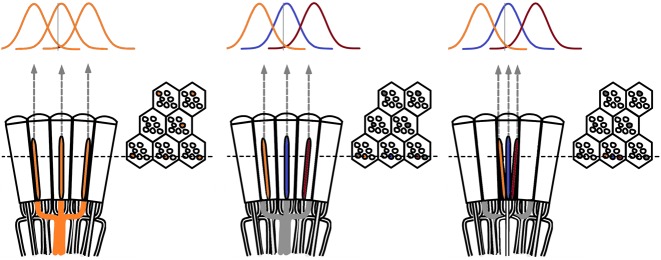 Appendix 5—figure 2.