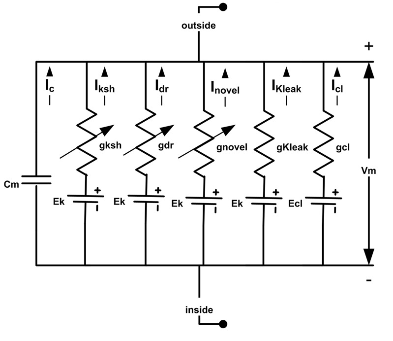 Appendix 1—figure 2.