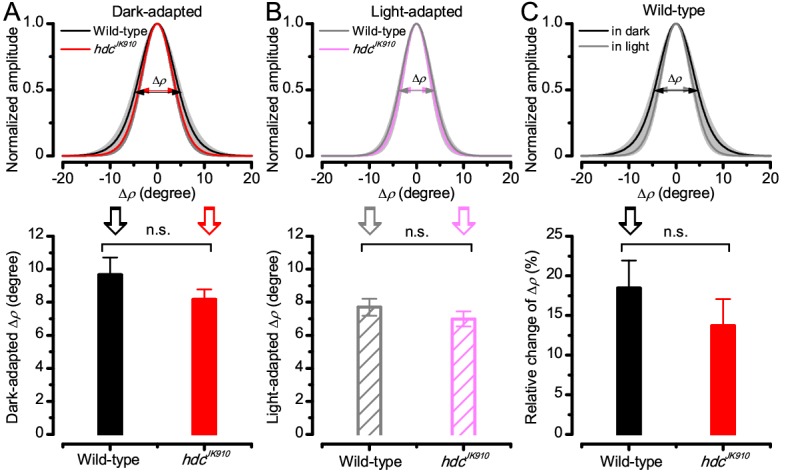 Figure 7—figure supplement 2.