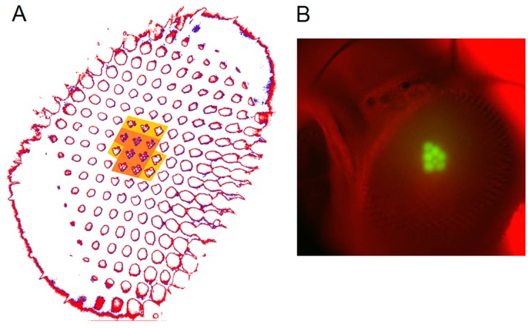 Appendix 7—figure 3.