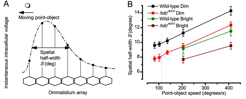 Appendix 6—figure 5.