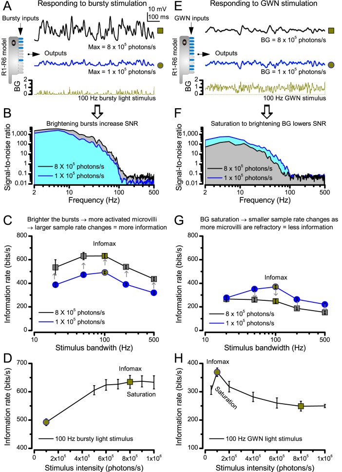 Appendix 2—figure 3.