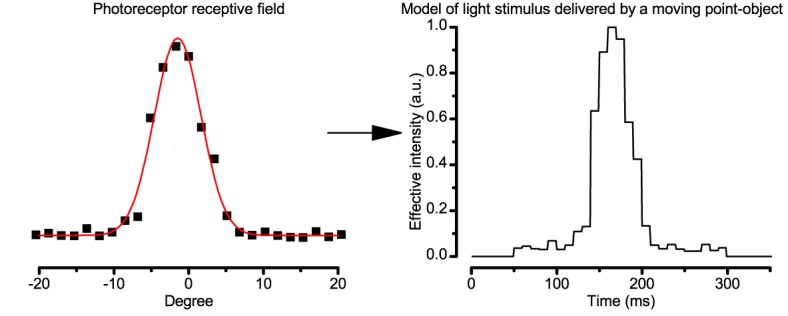 Appendix 6—figure 1.