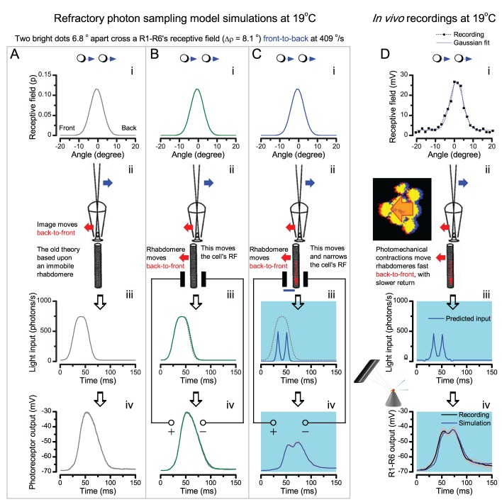 Appendix 8—figure 2.