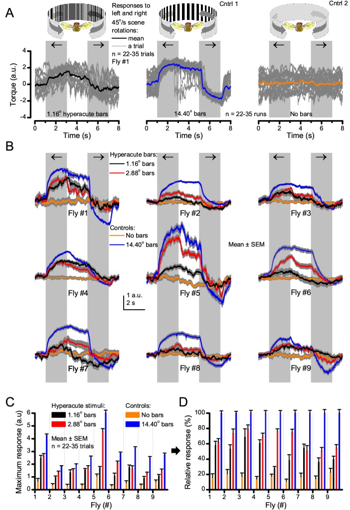 Figure 10—figure supplement 1.