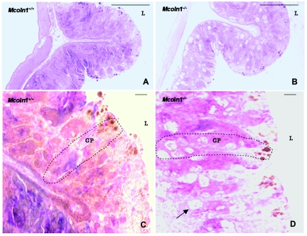 Figure  6. 