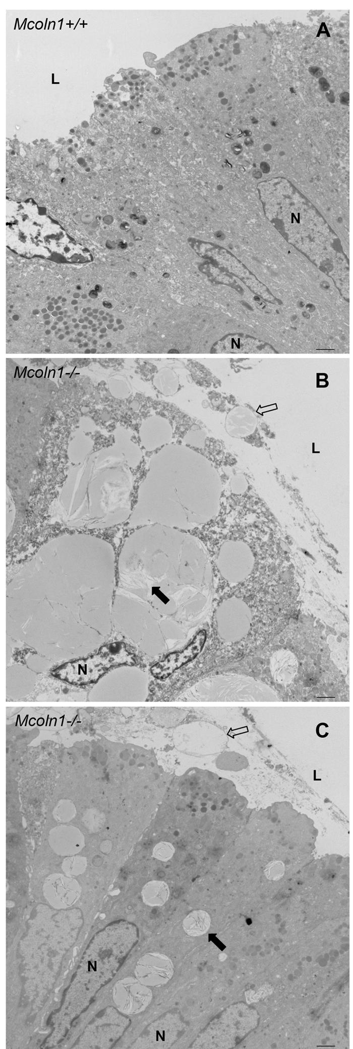 Figure  7. 