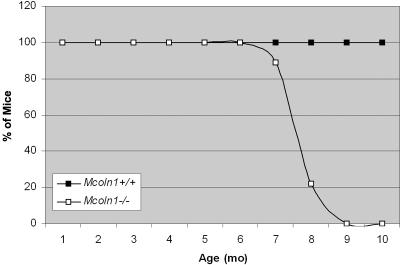 Figure  2. 