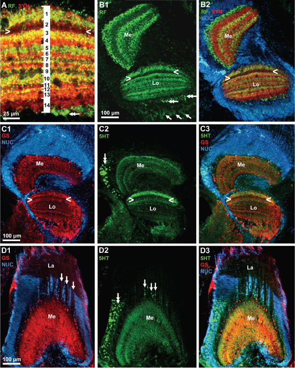 Figure 19