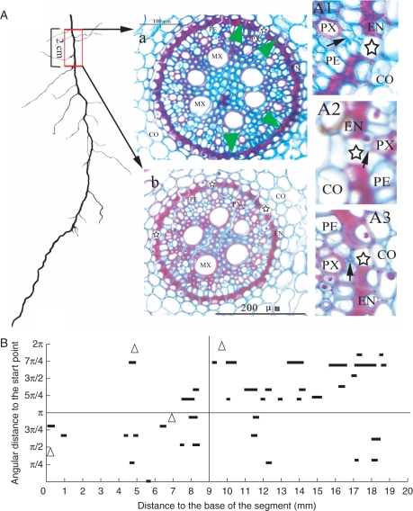 Fig. 6.