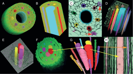 Fig. 3.