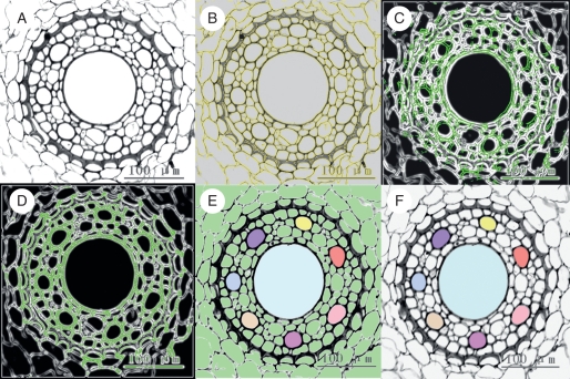 Fig. 1.