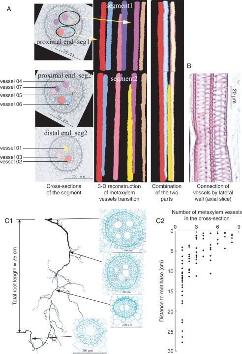 Fig. 4.