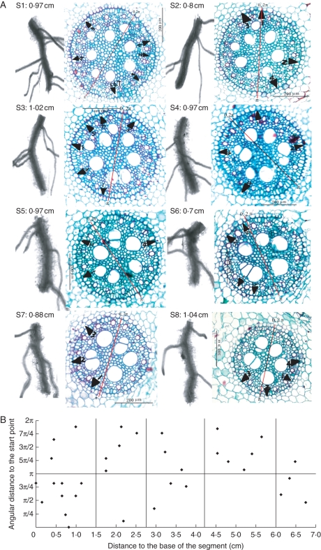 Fig. 7.