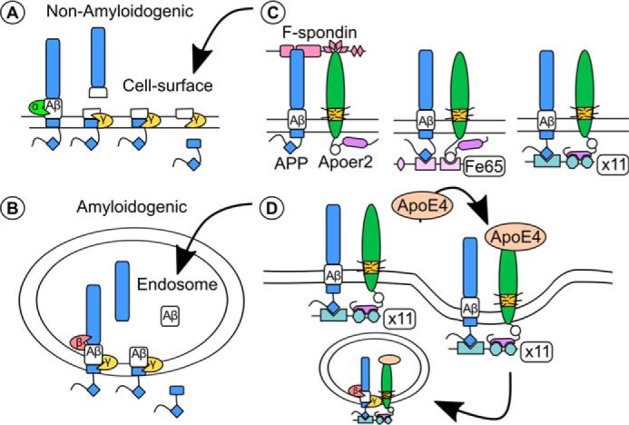 FIGURE 4.