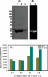 Fig. 6