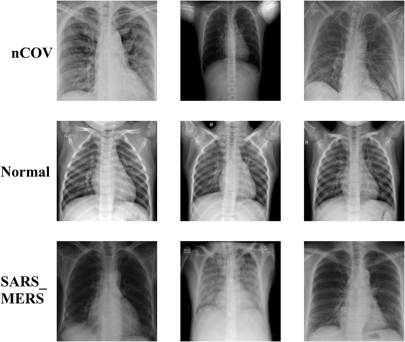 Fig. 7