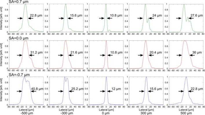 Fig. 6