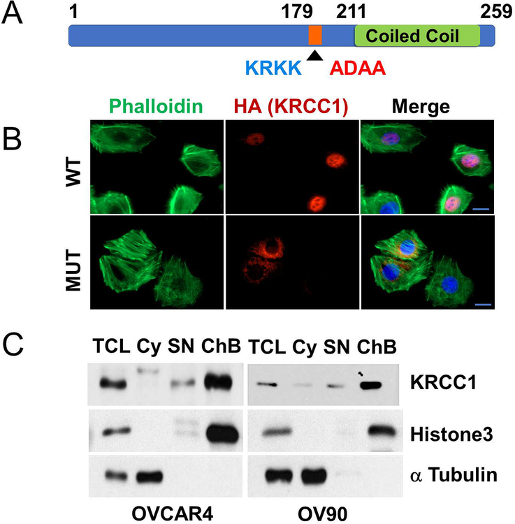 Figure 4: