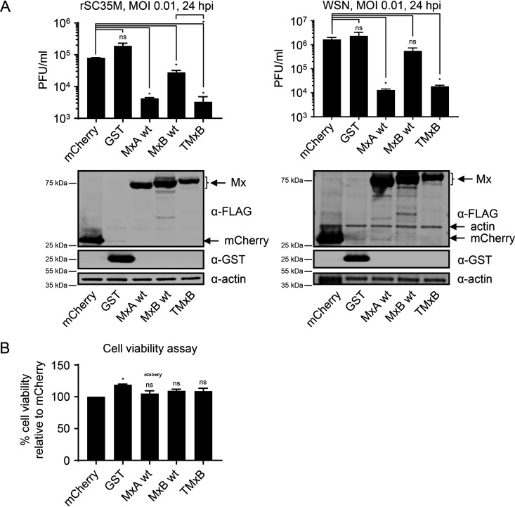 FIG 3