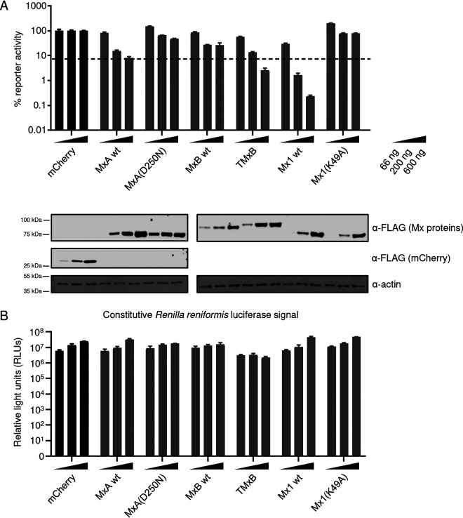 FIG 2