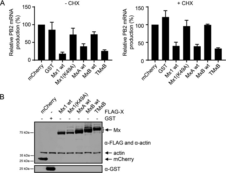 FIG 6