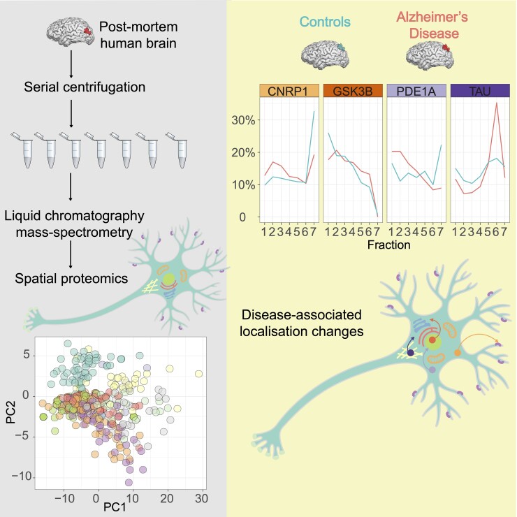 Graphical Abstract