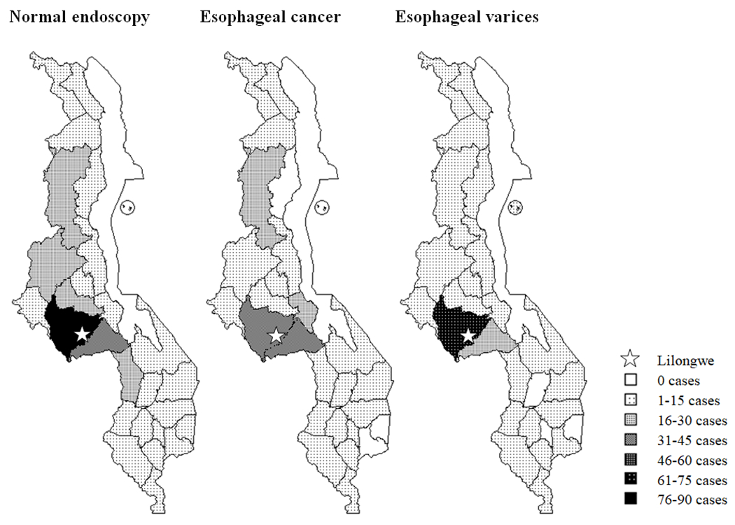 Figure 2: