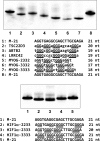 Fig. S1.