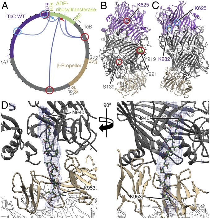 Fig. 5.