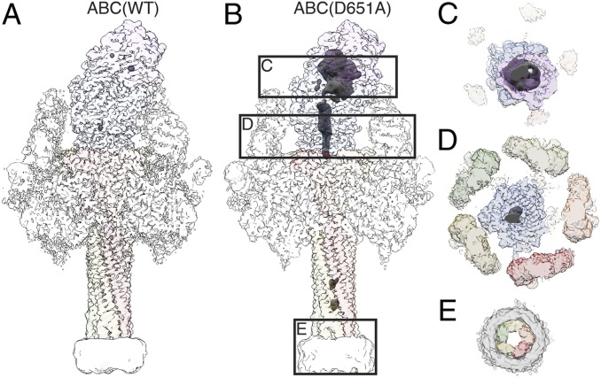 Fig. 3.