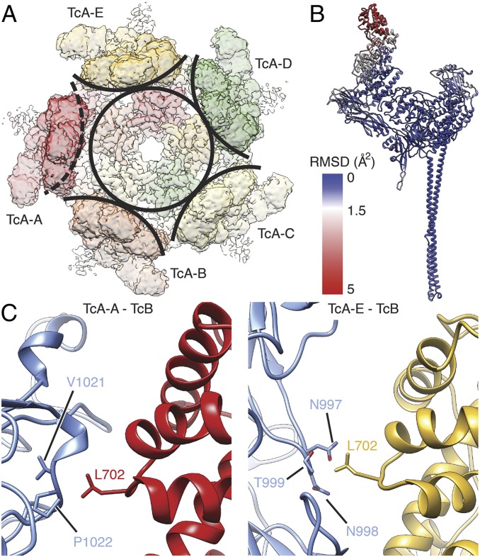 Fig. 2.