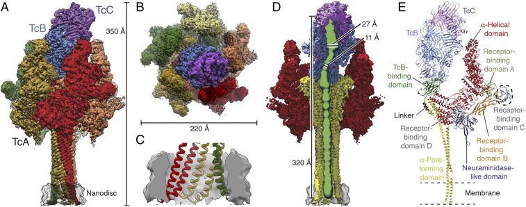 Fig. 1.