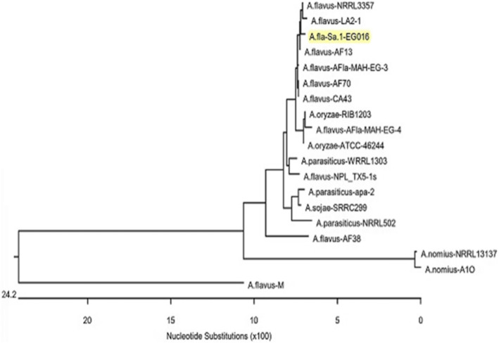 Fig. 3