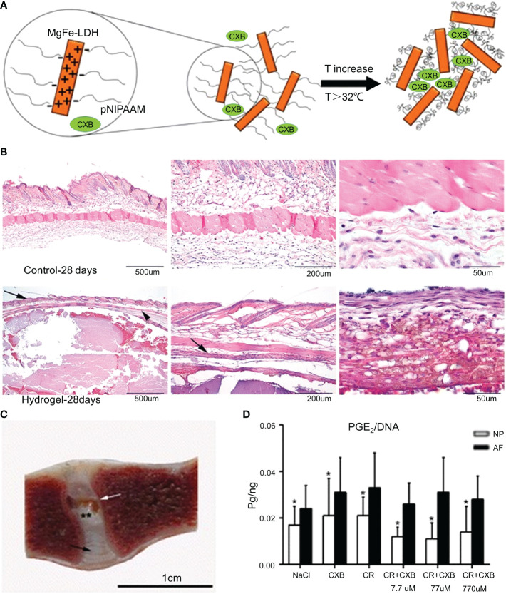 Figure 5