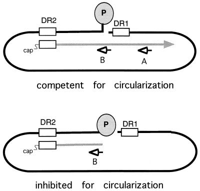 FIG. 4