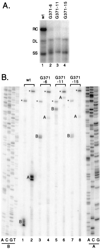 FIG. 5