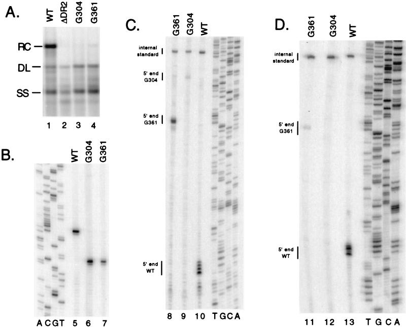 FIG. 3