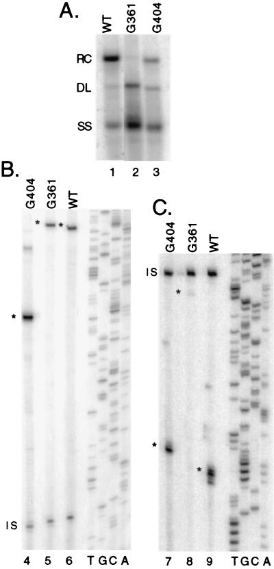 FIG. 7