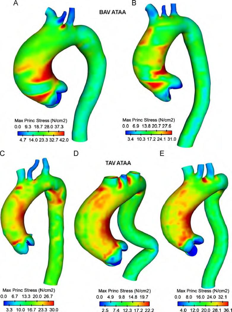 Fig. 7