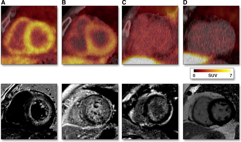 Fig. 7