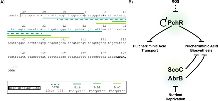 Fig 7